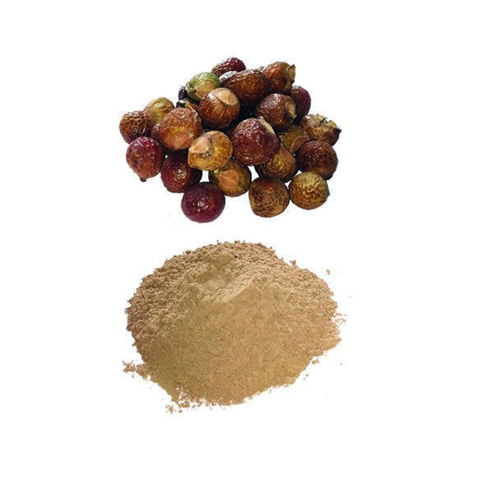 ORGANIC REETHA soapnut Powder we Create Good Healthy Home Made Oils ...