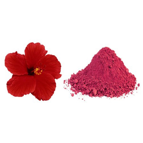 Hibiscus Rosa Sinensis Polvere per viso / corpo confezioni,100 gms (Creiamo buone spezie fatte in casa sano e oggetti commestibili con imballaggio a tenuta d'aria)