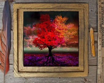 Transformation/20x20 gerahmt/ Original Kunst/ Limitierte Auflage/ Mixed Media/ Fotografie/Digital/Wanddekoration/Roter Baum Kunst/roter Baum/roter Baum Kunst