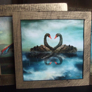 Love Swans Limited Edition Art