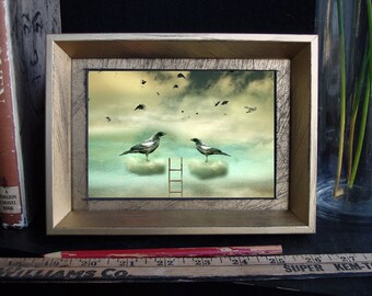 Two Birds In Heaven/6x4/ Framed/ Art Limited Edition/ Media/Photography/ digital/ drawing/ small framed art/ wall art/black grow/bird art