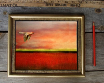 Red Bird/9x7 Framed/ Original art/ Limited Edition/ Mixed Media/Photography/digital art/bird art/fine art framed/framed bird/red bird/bird