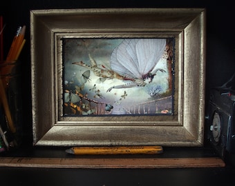 Fairy/ 7x5  Framed/  Original Art/ Limited Edition/ Mixed Media/ Photography/fairy art/fairy flying/fairy framed/digital art/fairy print