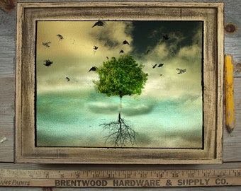 Past Left Behind 11x9 Enmarcado / Arte original / Arte de árbol / Edición limitada / Técnica mixta / Fotografía / Bellas artes enmarcadas / enmarcado en árbol / arte digital / cielo
