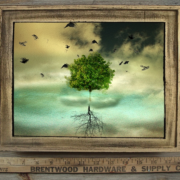 Past Left Behind 11x9 Framed/Original art/Tree Art/ Limited Edition/ Mixed Media/ Photography/ framed fine art/ tree framed/digital art/sky