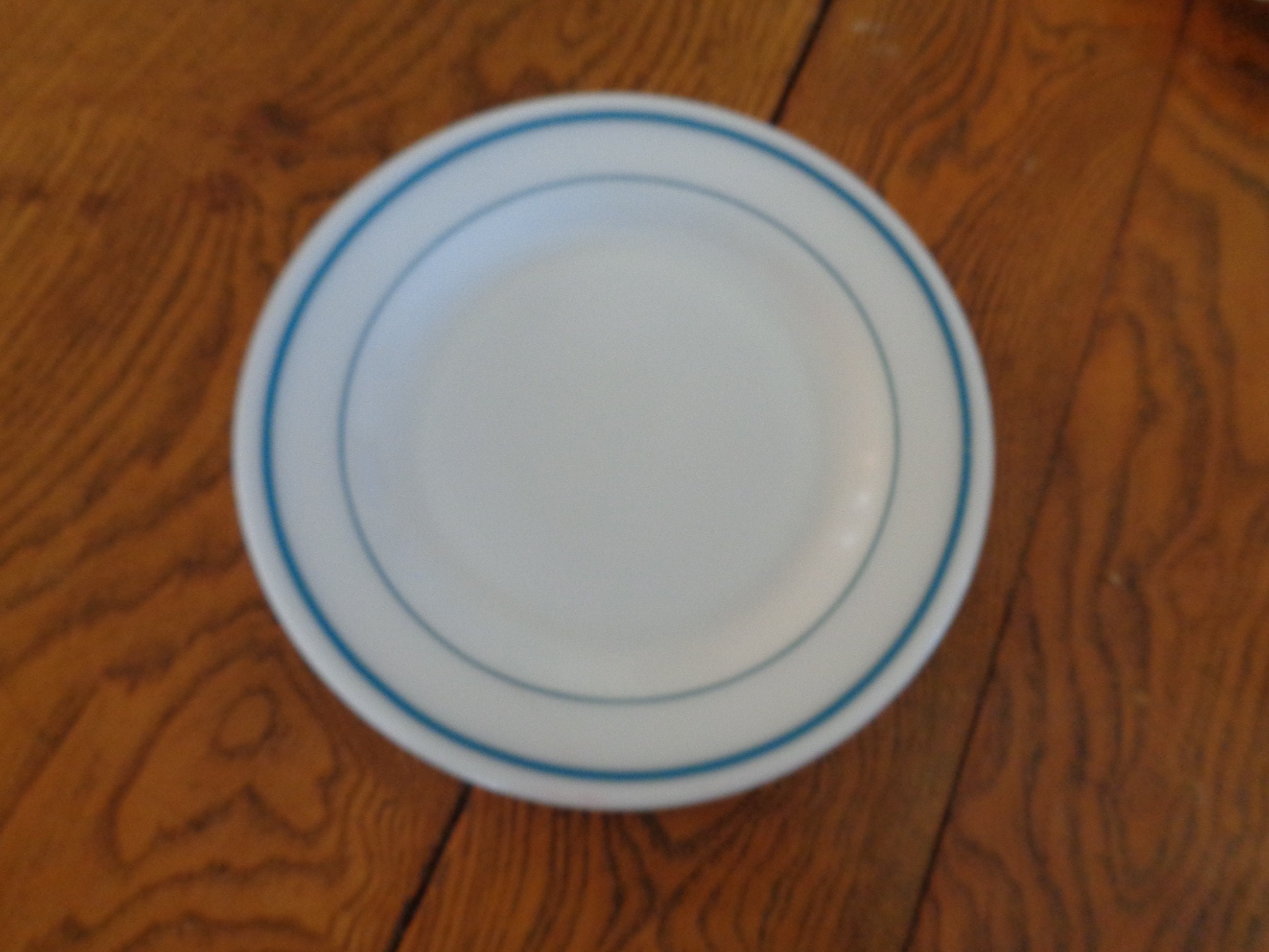 ビンテージ FIRE KING 9インチ ディナー プレート ホワイト、ブルーの