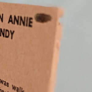 Pode incluir: Close-up de uma capa de livro com o texto "N ANNIE NDY" e as palavras "was walk-hool with" vis&iacute;veis.