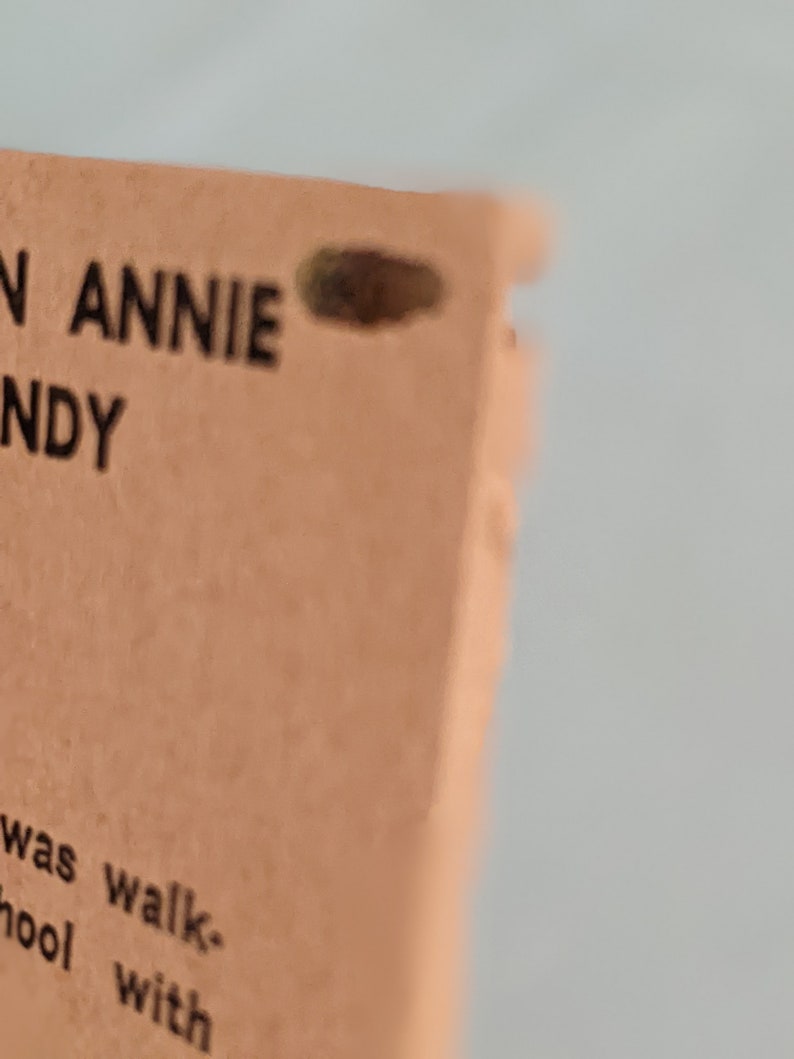 Pode incluir: Close-up de uma capa de livro com o texto "N ANNIE NDY" e as palavras "was walk-hool with" vis&iacute;veis.