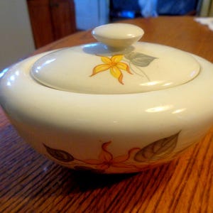 Azucarero Edwin Knowles Jasmine de 7,6 cm de alto, con tapa abombada. Sin daños. Otros lotes de este modelo. N.° de inventario: 0671