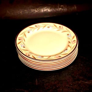 May include: A stack of round ceramic plates with a cream-colored center and a decorative border featuring stylized pink and blue tulip-like flowers with brown stems and leaves. Each plate has a thin brown rim around the outer edge.