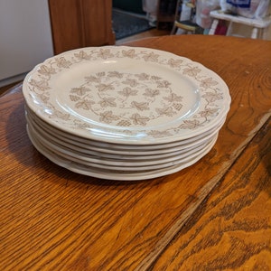 Seven Mid-Century Edwin Knowles KNO 815 Gold Grape Leaves, Grapes 9-3/8&quot; Luncheon Plates, Aladdin Shape. Undamaged INV#1400