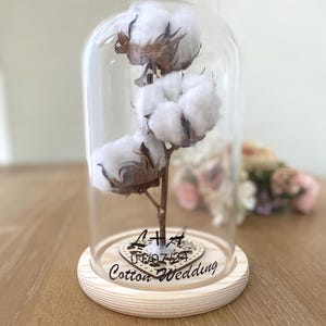 Regalo di nozze in cotone, 2° anniversario di matrimonio, fiori di cotone veri, regalo per il 1° anniversario di matrimonio, regalo personalizzato per l'anniversario di matrimonio, cotone