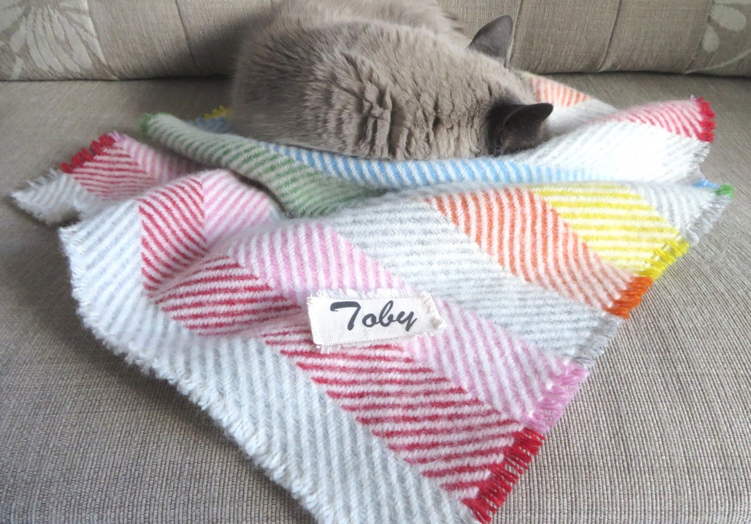 Personalized Dog Blanket Rainbow Wool Dog Blanket Cat Wool Blanket Dog