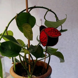 Stained Glass Ladybug