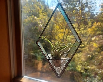 Air Plant Holder