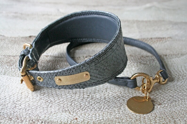 Genuine leather whippet collar hand made with fish leather Etsy