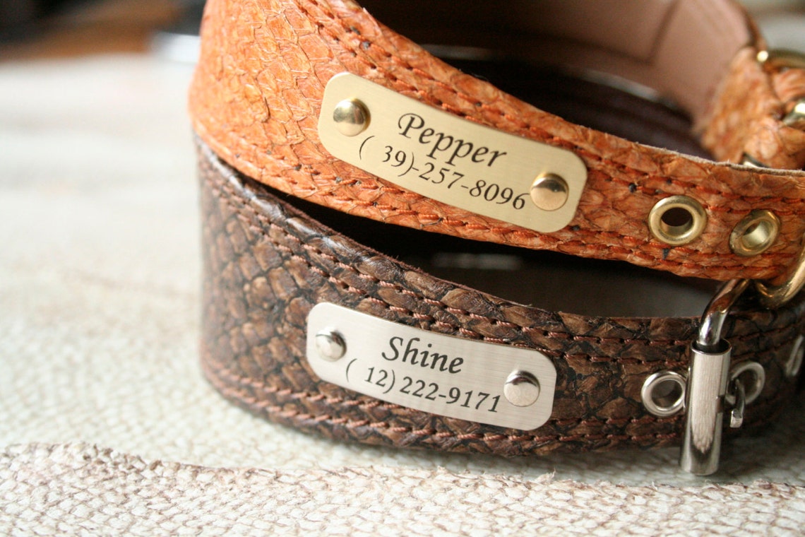 Dog Collar's Engraved Name Plate Golden Silver Metal ID Etsy