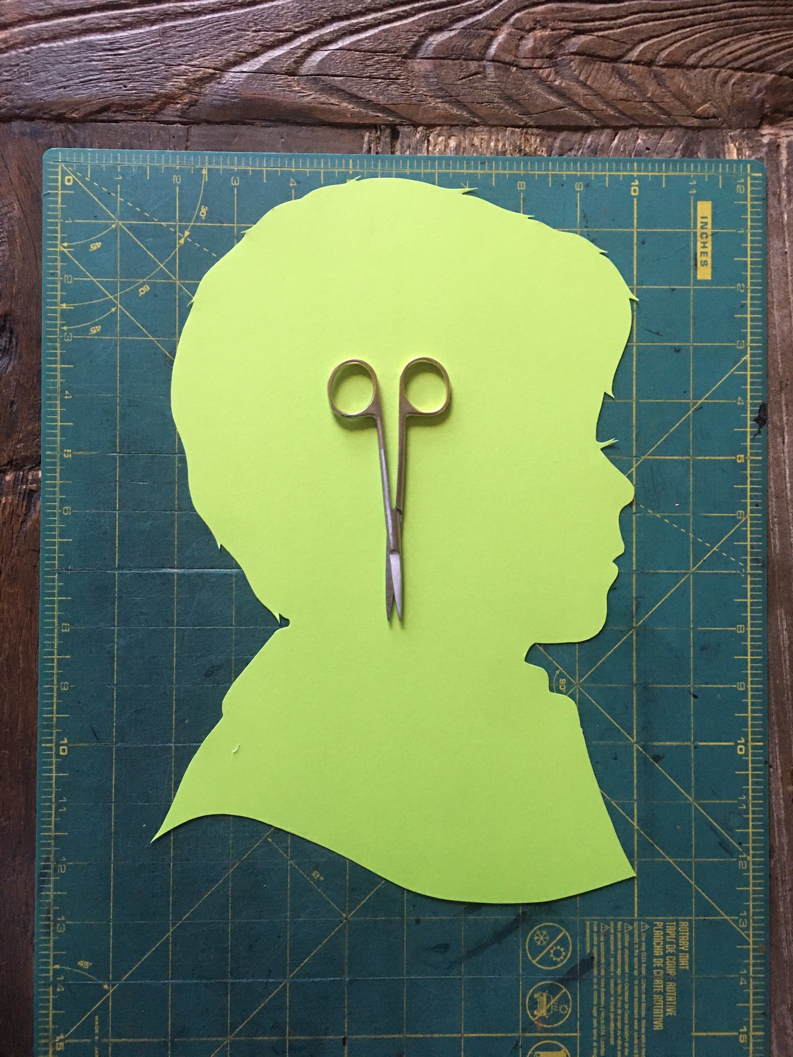 Custom Hand Cut Silhouette Portrait / Custom Family Etsy