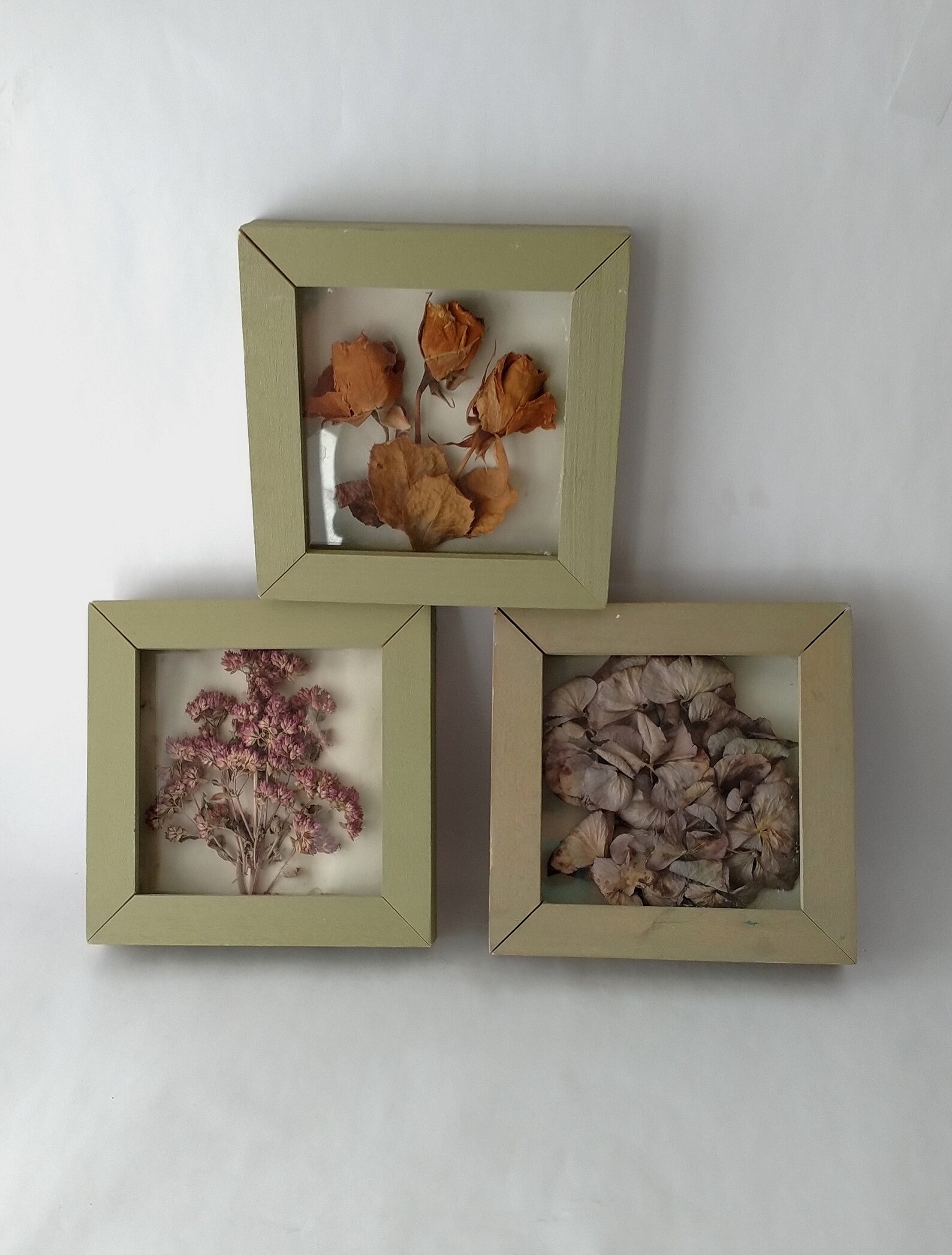 3 Dried Flowers Shadow Boxes Wood Frames Small Botanical Wall Etsy