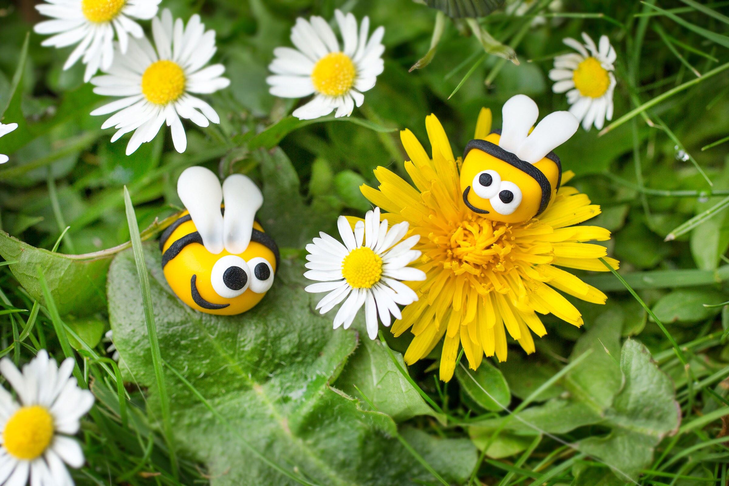 Is Your Body A Bee Magnet? The Shocking Truth - owlt5a9