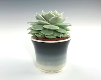 Black White Small Ceramic Planter, Porcelain Indoor Succulent Holder, Mini Pottery Planter With 2" Removable Plastic Pot