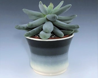 Ceramic Succulent Planter With 4" Removable Plastic Pot, Gray Black White Porcelain Pottery Indoor Plant Holder