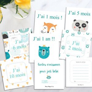 Cartes Rose Pour Bebe Cartes De Croissance Noter Etsy