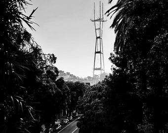 Sutro Jungle - B&W black framed canvas print