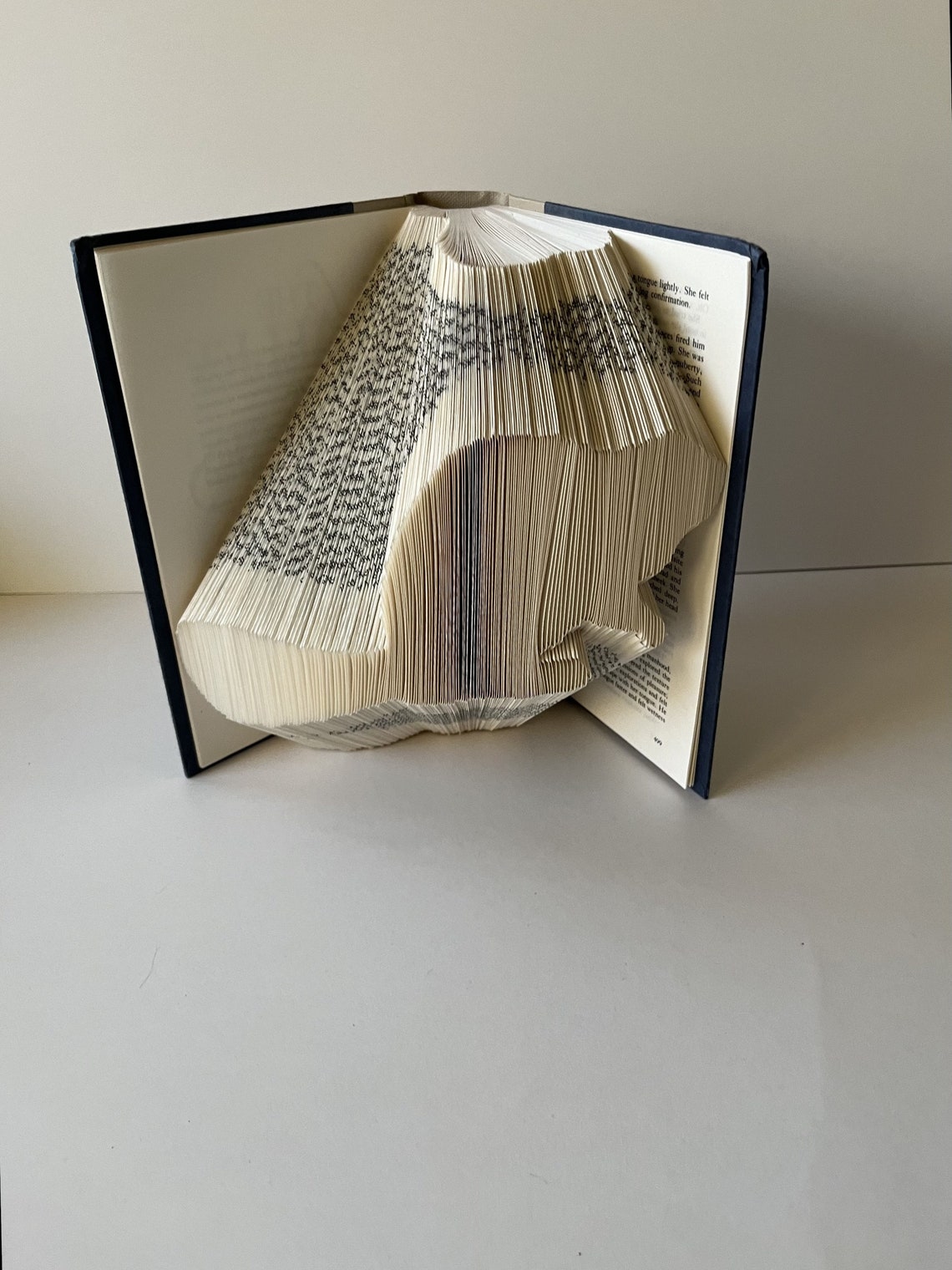 Beaver Book Pattern, Pattern Book, 250 Folds 500 Pages, Fold Your Own ...