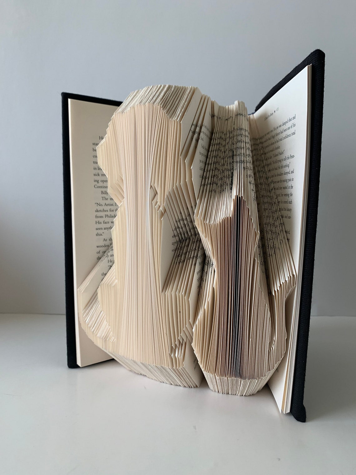 Folded book pages into Dog and Cat Book sculpture Retirement Etsy
