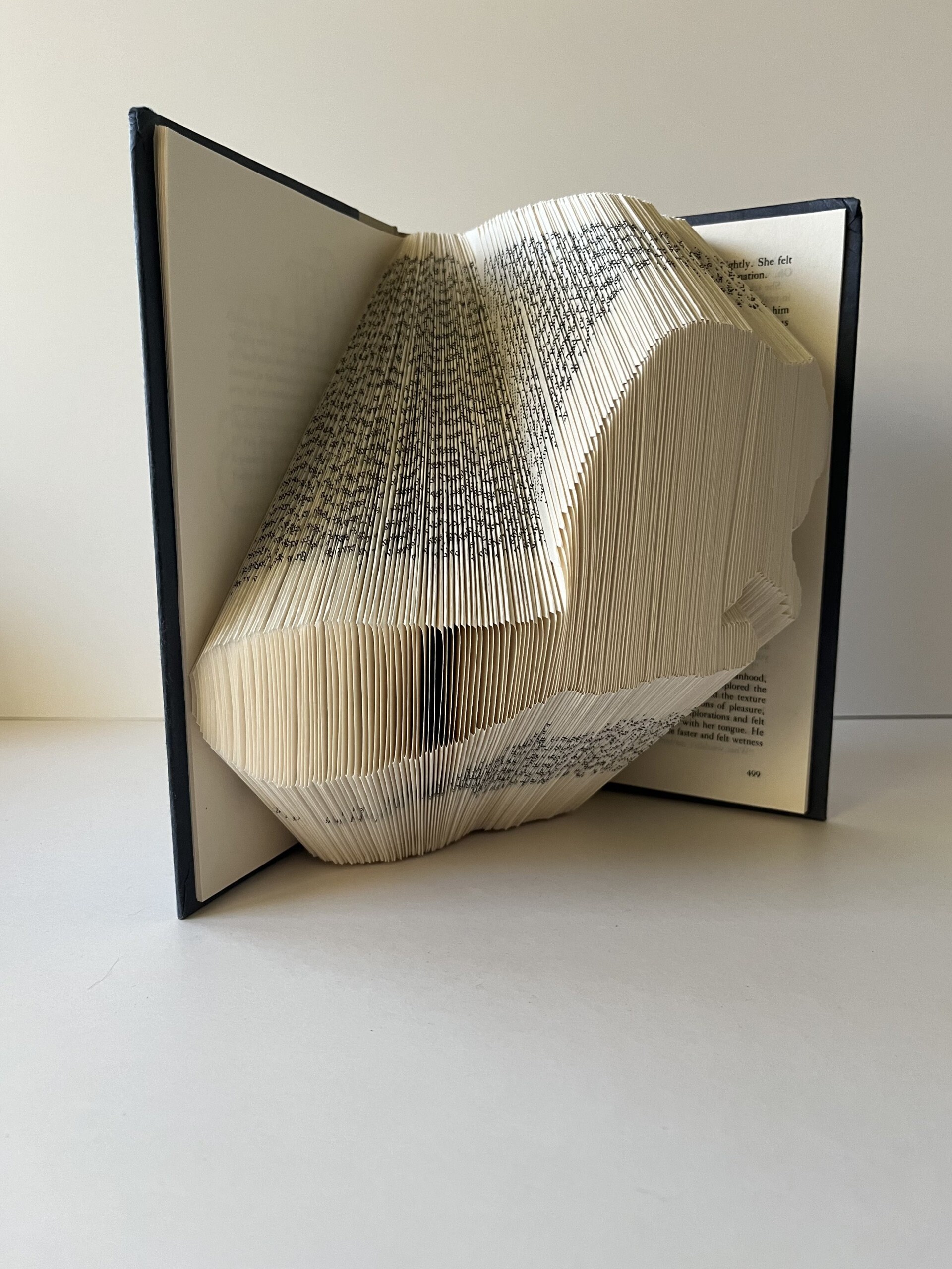Beaver Book Pattern, Pattern Book, 250 Folds 500 Pages, Fold Your Own ...