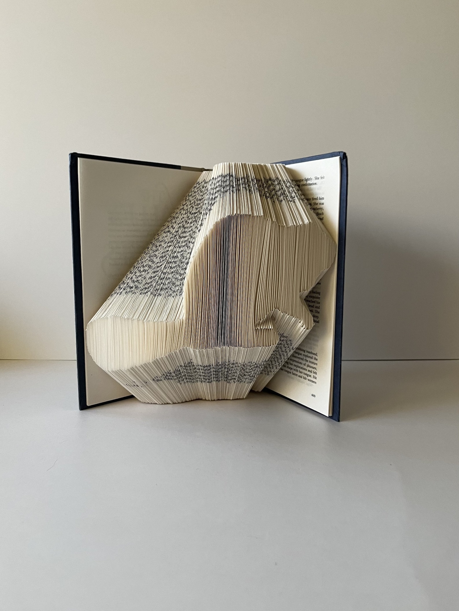 Beaver Book Pattern, Pattern Book, 250 Folds 500 Pages, Fold Your Own ...