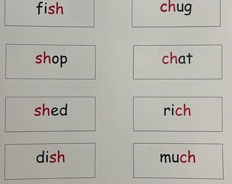 Phonogram Booklets - Etsy