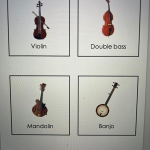 May include: Four different stringed musical instruments: a violin, a double bass, a mandolin, and a banjo.
