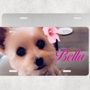 Custom Photo License Plate | Car Tag | Personalized License Plate | Custom Tag | Vanity Plate | Aluminum License Plate | Custom Plate