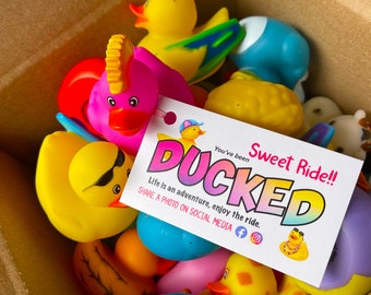 Duck Duck Game Cards with ducks and bands