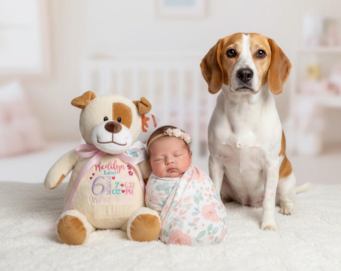 Personalized Stuffed Animal: Embroidered Keepsake Gift