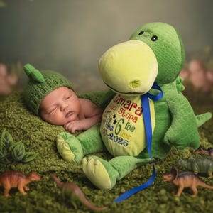 Puede incluir: Un bebé recién nacido durmiendo, con un gorro de dinosaurio verde tejido, acurrucado sobre una superficie verde texturizada junto a un gran dinosaurio de peluche verde. El dinosaurio de peluche tiene un hocico amarillo y una cinta azul. Pequeños dinosaurios de juguete.