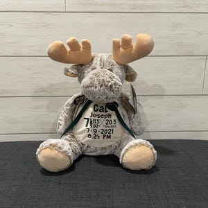 Personalized Embroidered Stuffed Animal: Baby Shower Keepsake