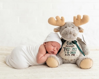 Personalized Embroidered Stuffed Animal: Baby Shower Keepsake