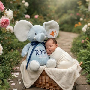 May include: A newborn baby sleeps swaddled in a cream blanket, nestled in a wicker basket. Beside the baby is a blue elephant soft toy with the name "Ram" embroidered on its body. The scene is set in a garden.
