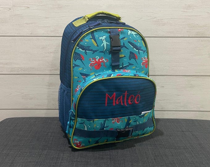 Embroidered Kids Backpack: Personalized School Travel Bag