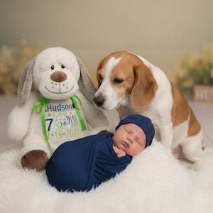 May include: A newborn baby in a navy blue swaddle and cap, lying on a white fluffy surface. A stuffed dog toy and a beagle dog are positioned nearby. The stuffed dog has a green ribbon with the name "Hudson" and birth details.