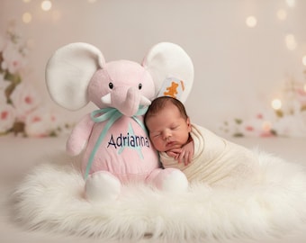 Personalized Elephant Stuffed Animal. Completely Customizable. New Baby Gift. Adoption Gift. Birthday Gift. Keepsake. Baptism Gift.