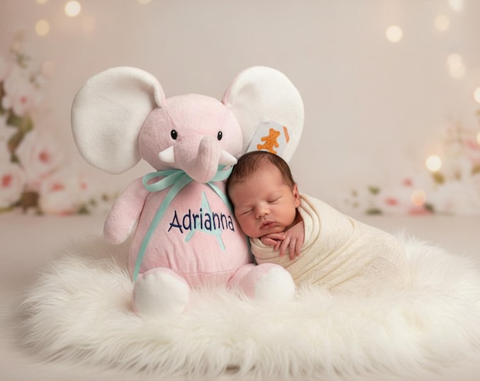 Personalized Elephant Stuffed Animal. Completely Customizable. New Baby Gift. Adoption Gift. Birthday Gift. Keepsake. Baptism Gift.