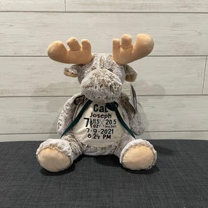Personalized Stuffed Animal - Perfect Gift for Baby Showers Baptisms Adoptions Birthdays - Unique and One-of-a-kind Keepsake