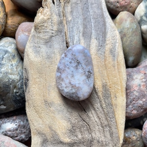 Agatized honeycomb coral cabochon