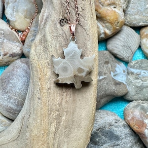 May include: A necklace featuring a maple leaf-shaped pendant carved from light beige fossilized stone with visible circular patterns. The pendant is suspended from a thin, metallic rose gold-colored chain, showcasing a natural, textured appearance.