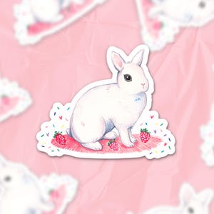 White Hotot Rabbit Die Cut Sticker: Durable Vinyl