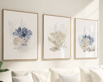 Seashells Coastal Art Prints, Nautical Nursery Decor Set
